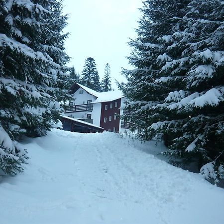 Pensiunea Silvania Statjunea Borsa Exterior foto