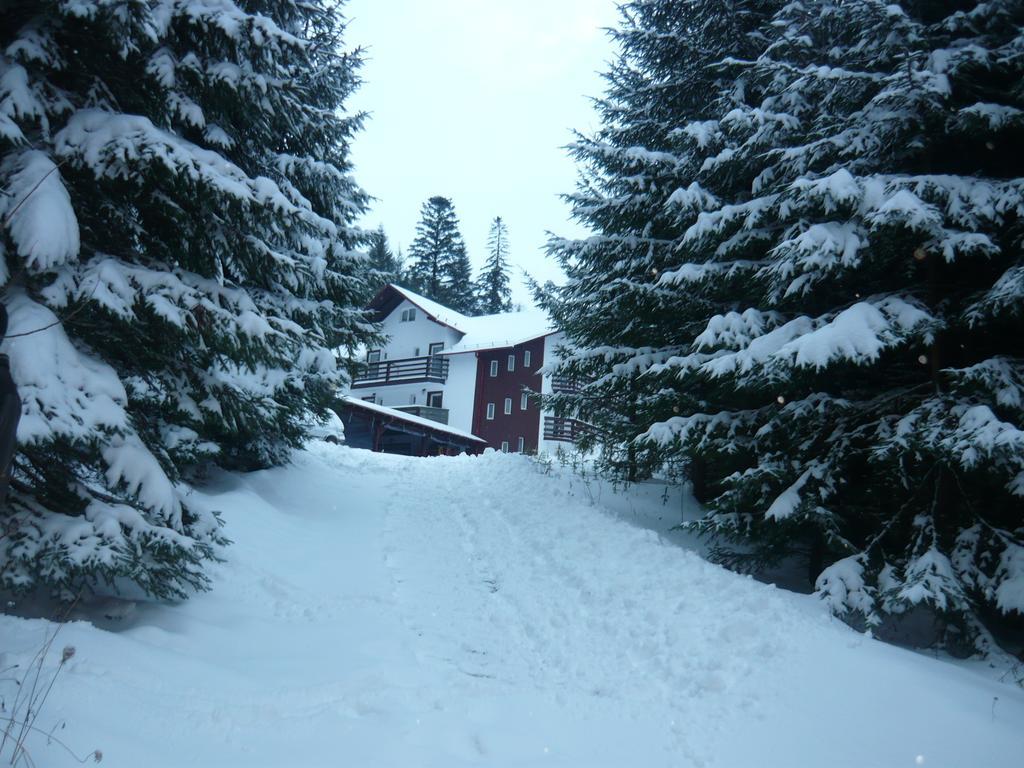 Pensiunea Silvania Statjunea Borsa Exterior foto