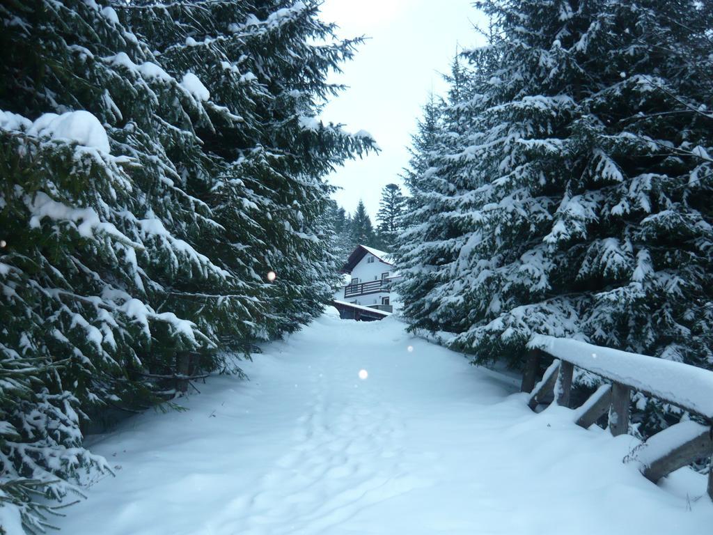 Pensiunea Silvania Statjunea Borsa Exterior foto